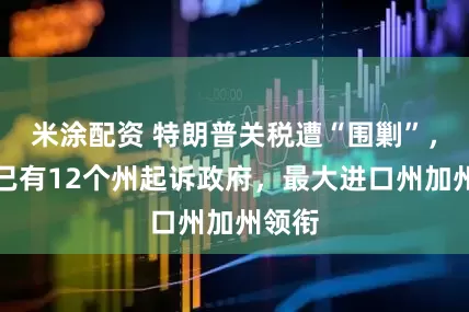米涂配资 特朗普关税遭“围剿”，美国已有12个州起诉政府，最大进口州加州领衔