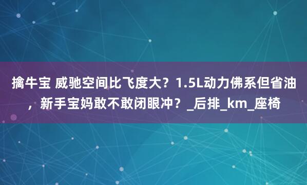 擒牛宝 威驰空间比飞度大？1.5L动力佛系但省油，新手宝妈敢不敢闭眼冲？_后排_km_座椅