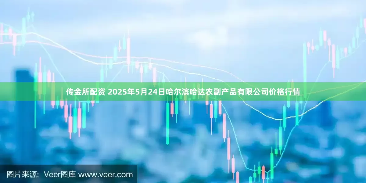 传金所配资 2025年5月24日哈尔滨哈达农副产品有限公司价格行情
