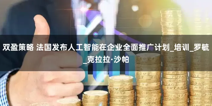 双盈策略 法国发布人工智能在企业全面推广计划_培训_罗毓_克拉拉·沙帕